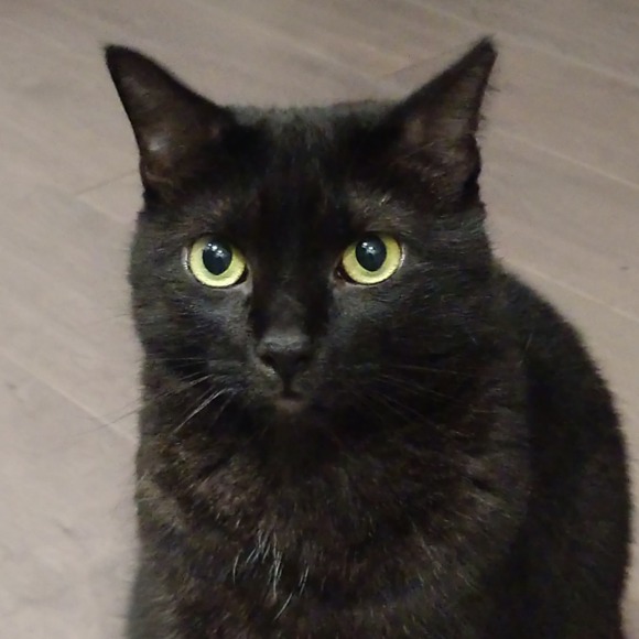 Meet your Posher, Doreen - Picture 1 of 1